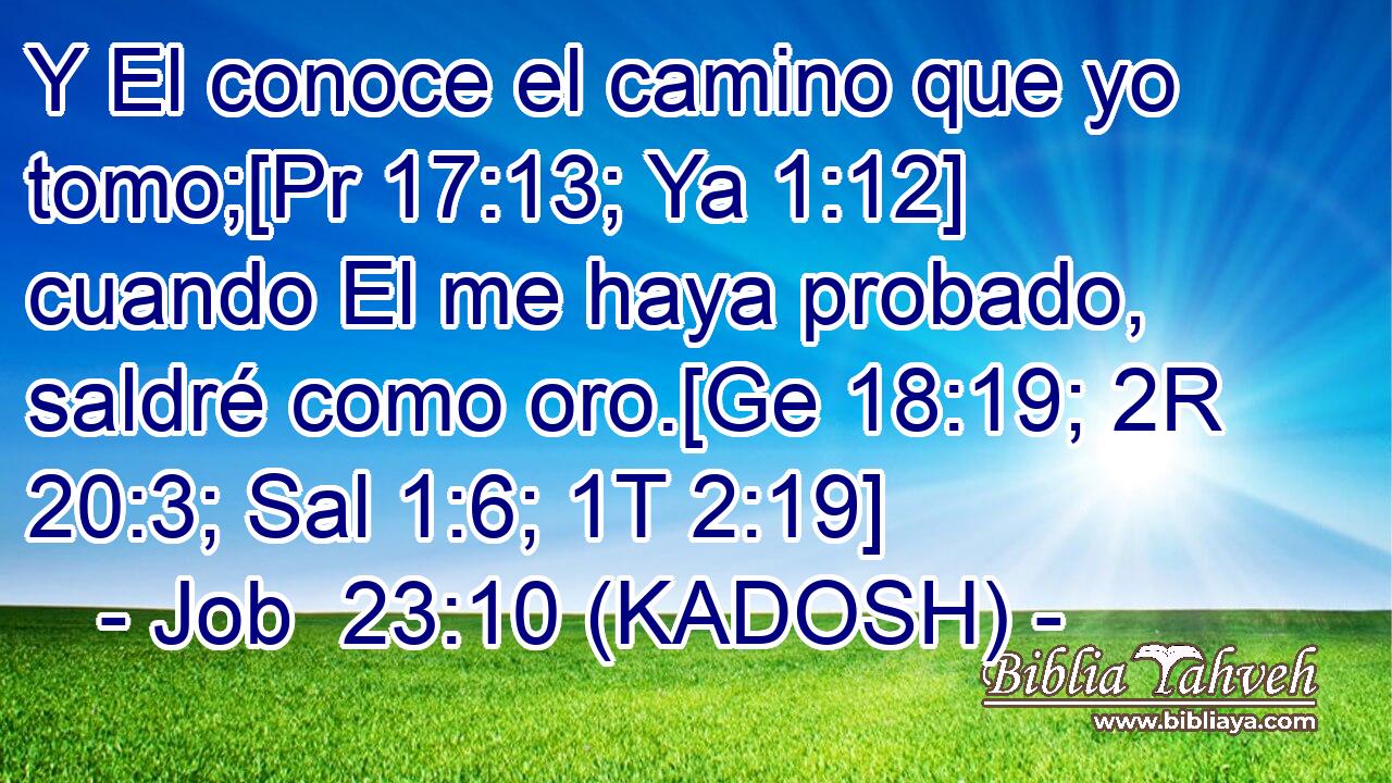  Y El conoce el camino que yo tomo;[Pr 17:13; Ya 1:12] cuando El me haya probado, saldré como oro.[Ge 18:19; 2R 20:3; Sal 1:6; 1T 2:19] 