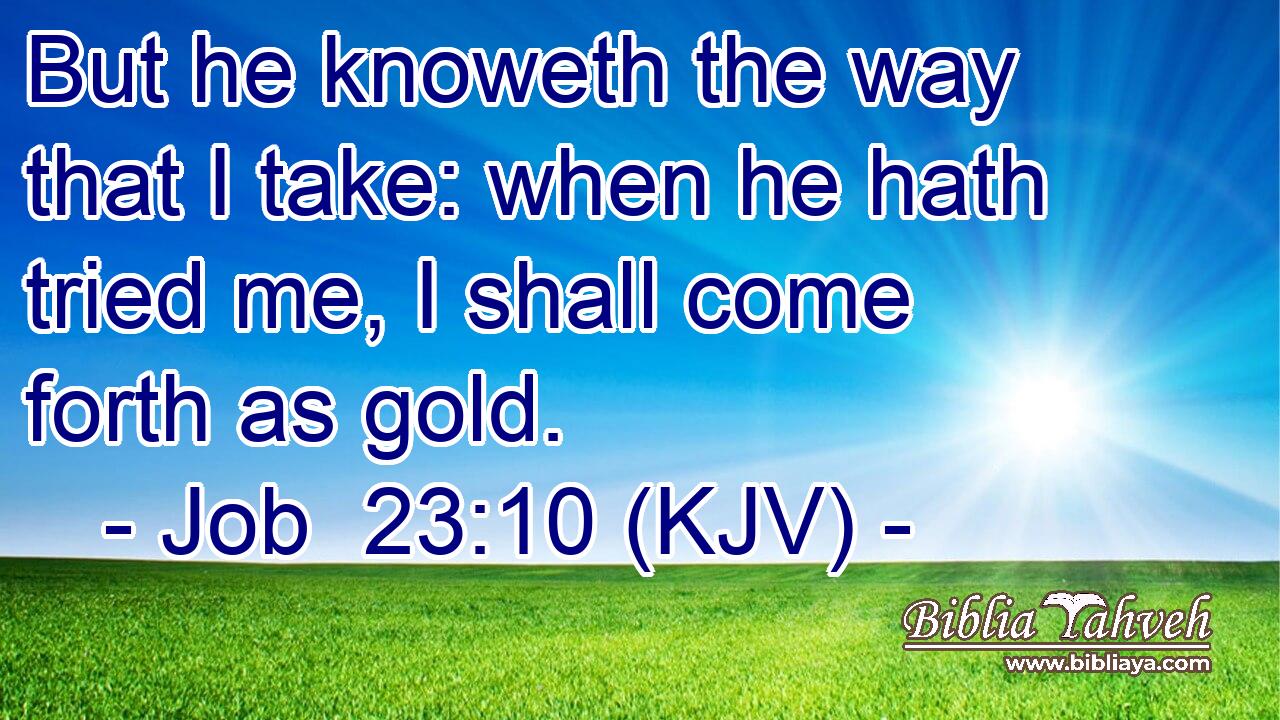 But he knoweth the way that I take: when he hath tried me, I shall come forth as gold.