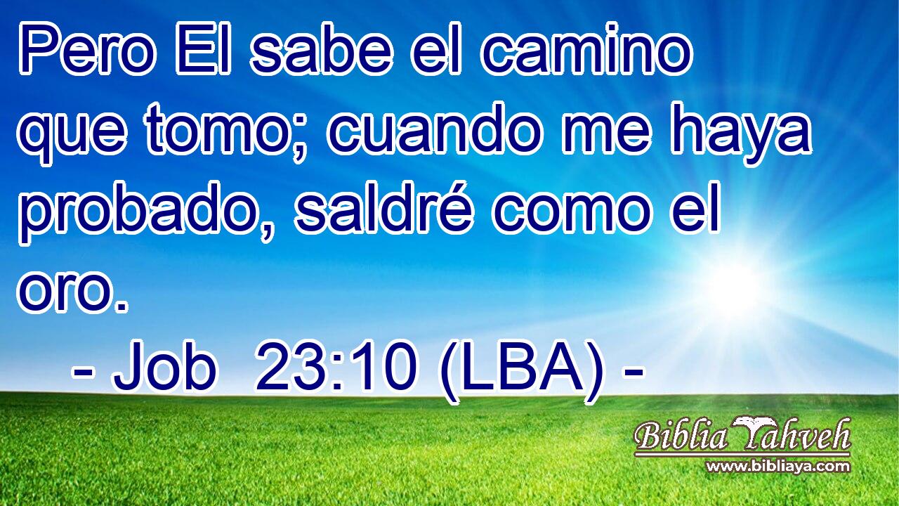 Pero El sabe el camino que tomo; cuando me haya probado, saldré como el oro.