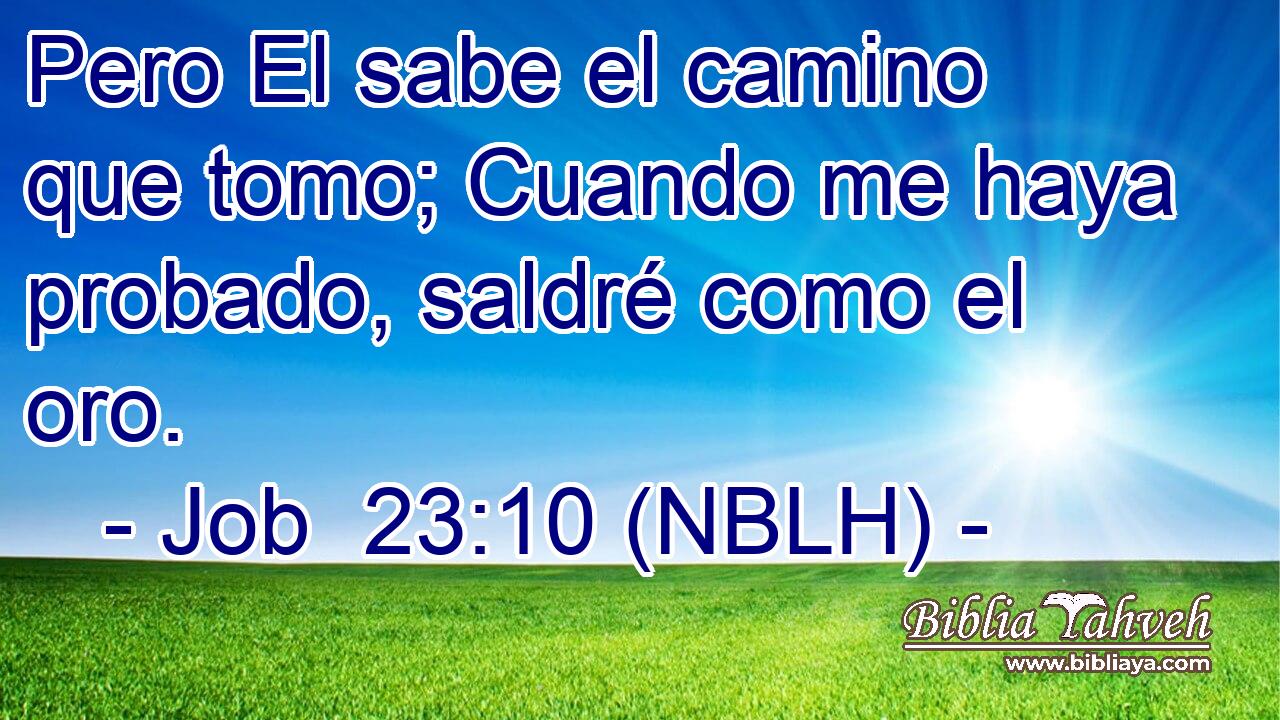  Pero El sabe el camino que tomo; Cuando me haya probado, saldré como el oro. 
