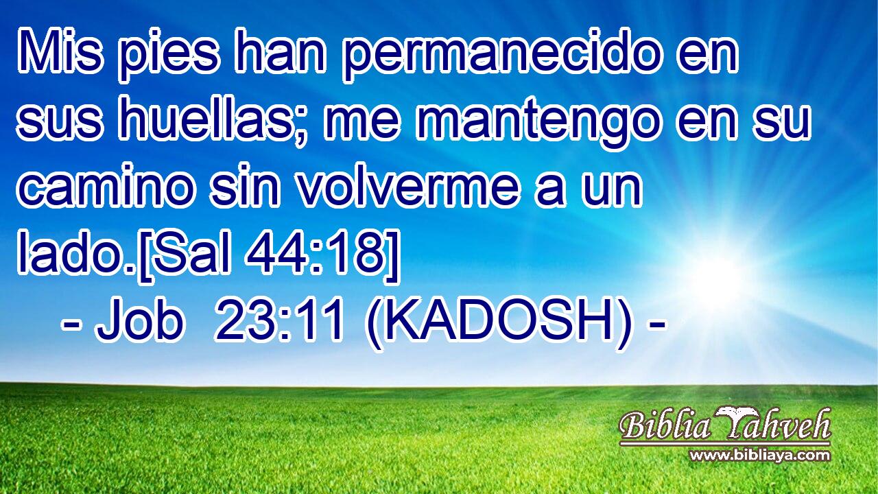  Mis pies han permanecido en sus huellas; me mantengo en su camino sin volverme a un lado.[Sal 44:18] 