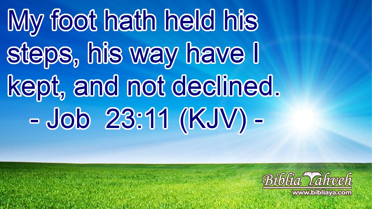 My foot hath held his steps, his way have I kept, and not declined.
