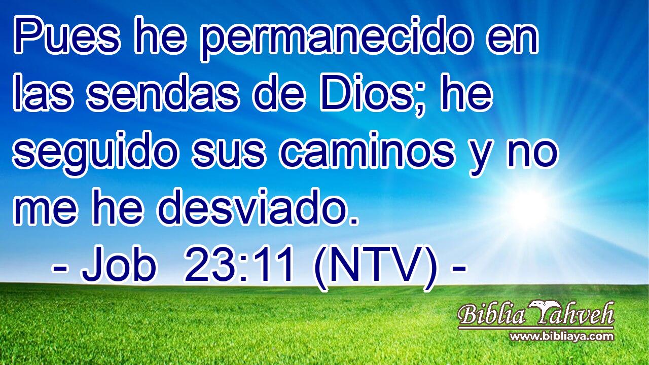 Pues he permanecido en las sendas de Dios; he seguido sus caminos y no me he desviado.