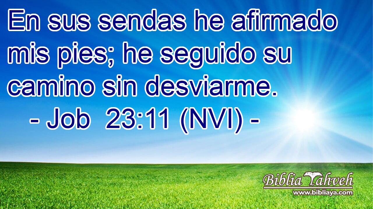  En sus sendas he afirmado mis pies; he seguido su camino sin desviarme. 