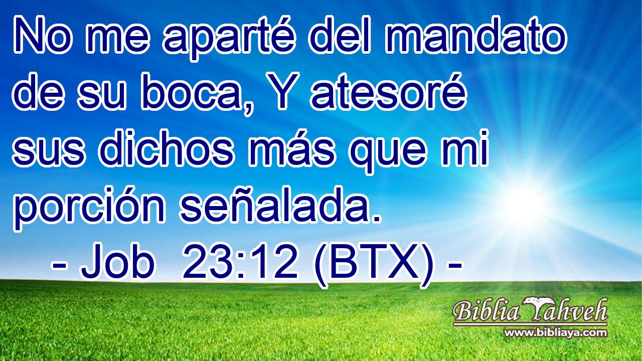 No me aparté del mandato de su boca, Y atesoré sus dichos más que mi porción señalada.