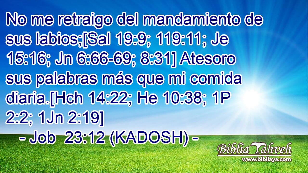 No me retraigo del mandamiento de sus labios;[Sal 19:9; 119:11; Je 15:16; Jn 6:66-69; 8:31] Atesoro sus palabras más que mi comida diaria.[Hch 14:22; He 10:38; 1P 2:2; 1Jn 2:19] 