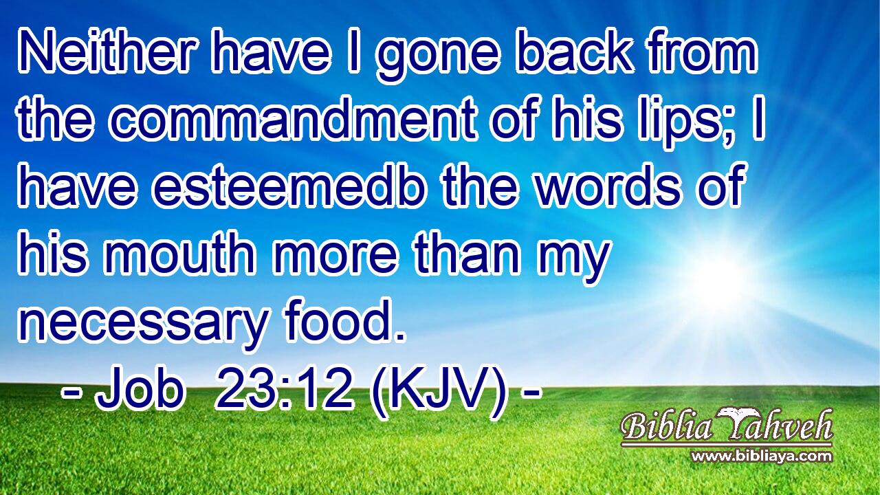 Neither have I gone back from the commandment of his lips; I have esteemedb the words of his mouth more than my necessary food.