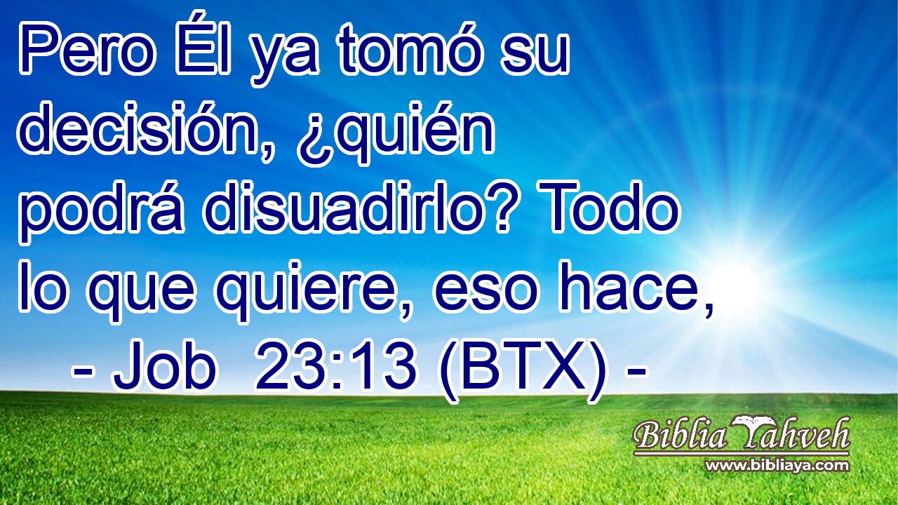 Pero Él ya tomó su decisión, ¿quién podrá disuadirlo? Todo lo que quiere, eso hace,