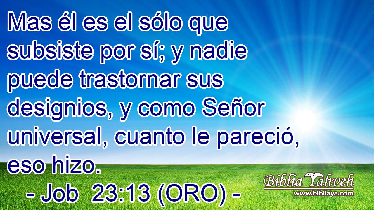  Mas él es el sólo que subsiste por sí; y nadie puede trastornar sus designios, y como Señor universal, cuanto le pareció, eso hizo. 