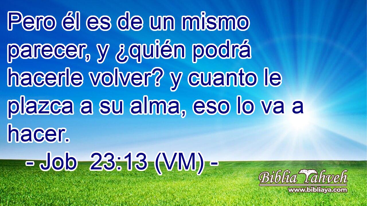  Pero él es de un mismo parecer, y ¿quién podrá hacerle volver? y cuanto le plazca a su alma, eso lo va a hacer. 