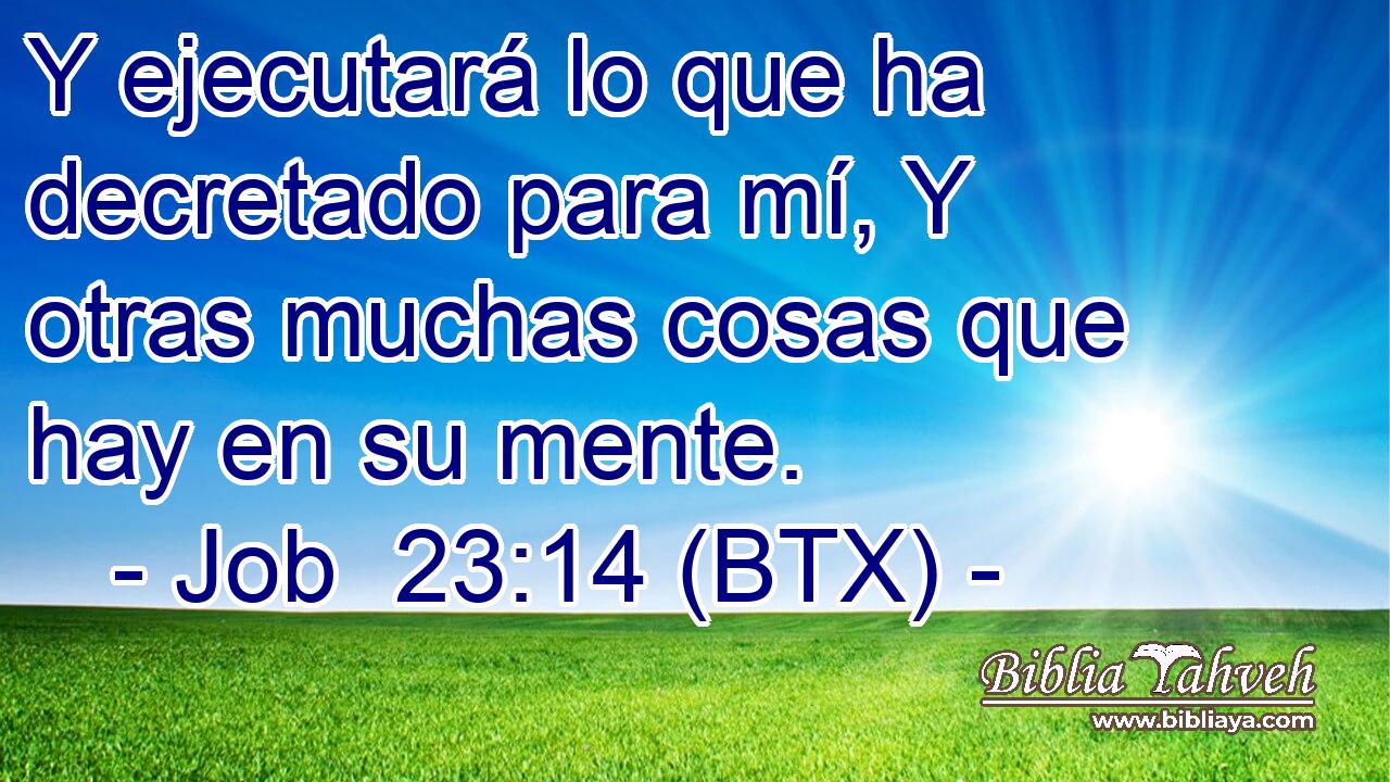 Y ejecutará lo que ha decretado para mí, Y otras muchas cosas que hay en su mente.