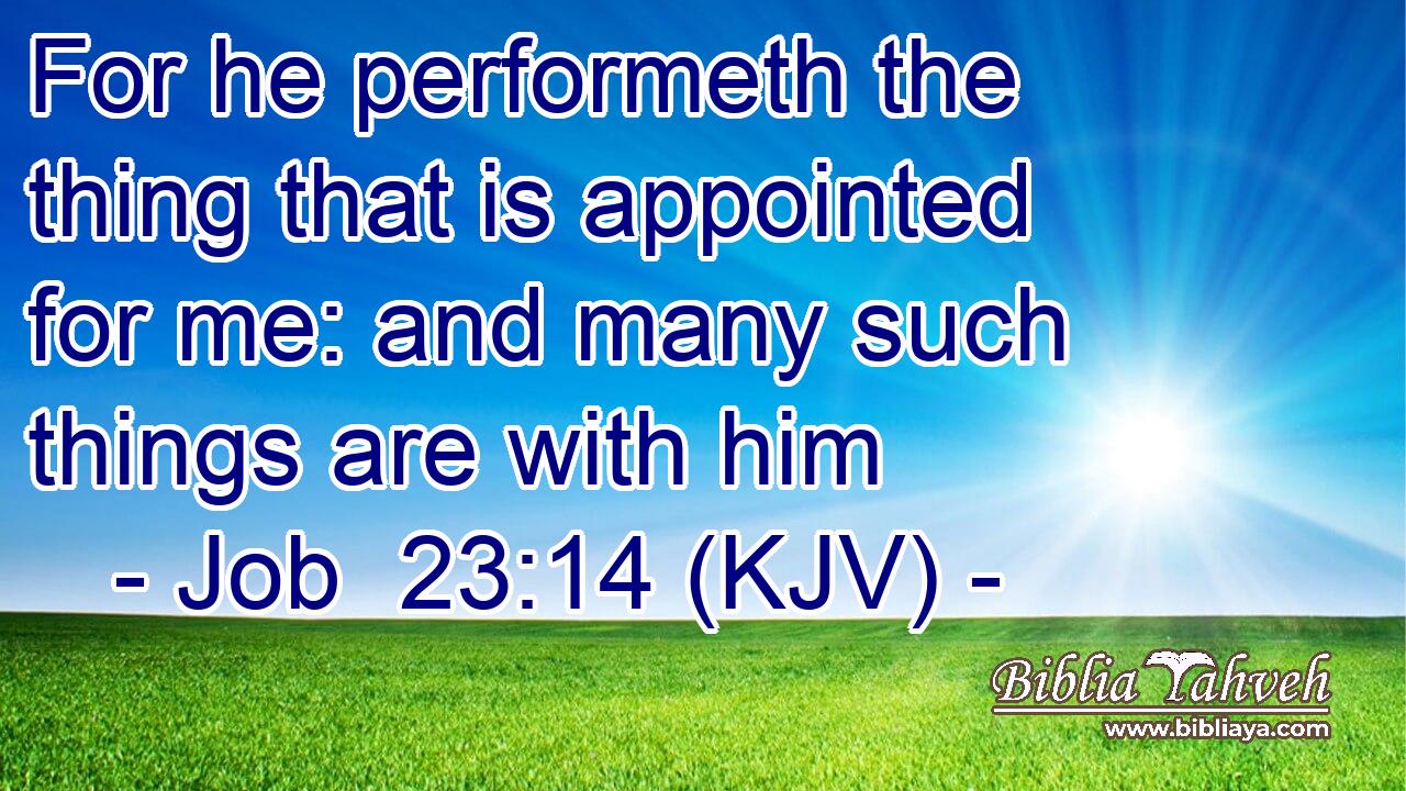 For he performeth the thing that is appointed for me: and many such things are with him