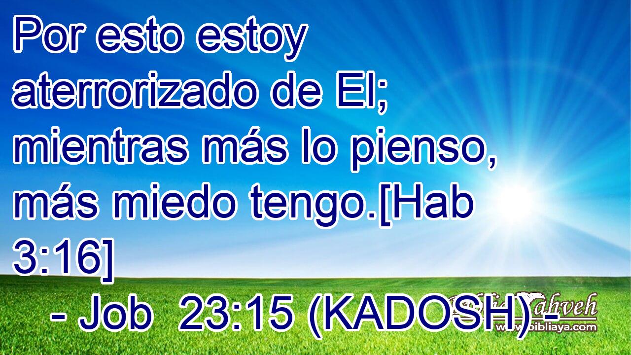  Por esto estoy aterrorizado de El; mientras más lo pienso, más miedo tengo.[Hab 3:16] 