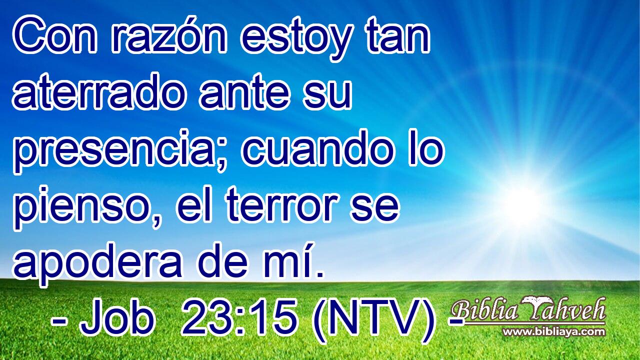 Con razón estoy tan aterrado ante su presencia; cuando lo pienso, el terror se apodera de mí.