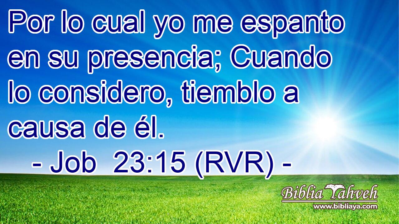 Por lo cual yo me espanto en su presencia; Cuando lo considero, tiemblo a causa de él.
