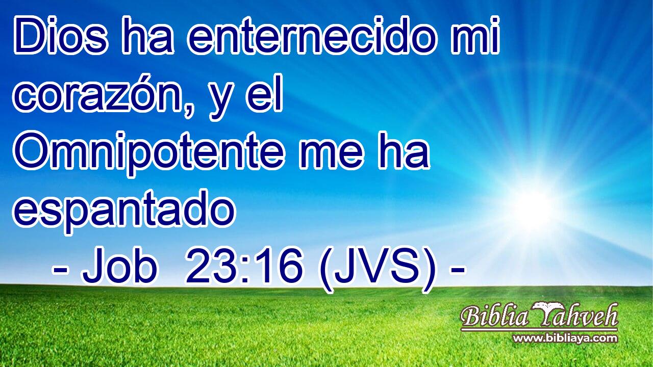 Dios ha enternecido mi corazón, y el Omnipotente me ha espantado