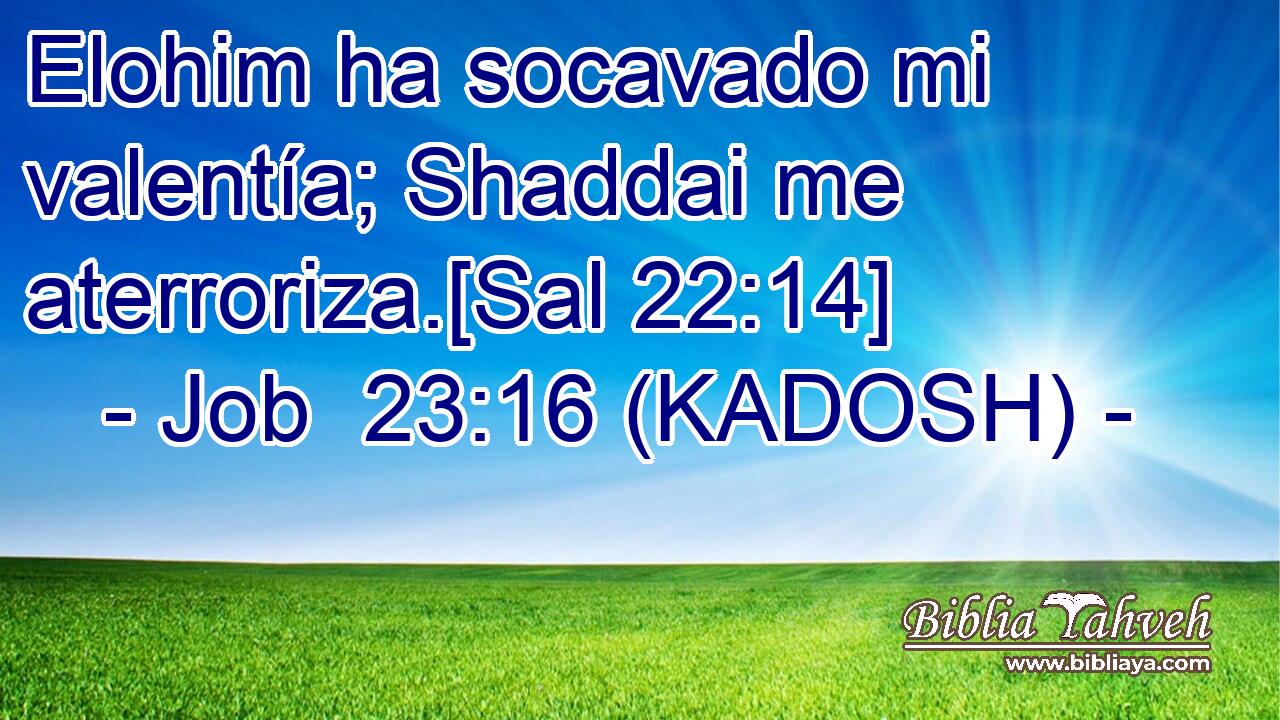  Elohim ha socavado mi valentía; Shaddai me aterroriza.[Sal 22:14] 