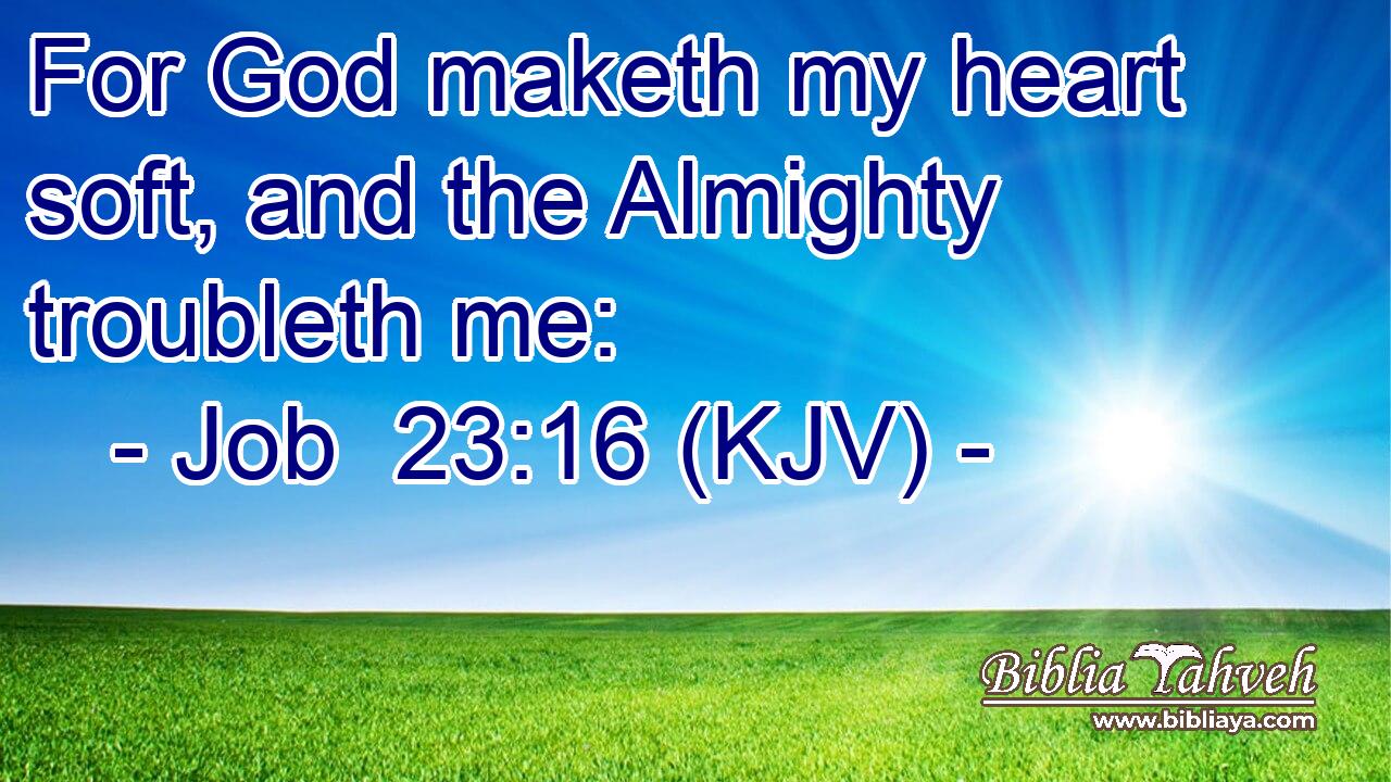 For God maketh my heart soft, and the Almighty troubleth me: