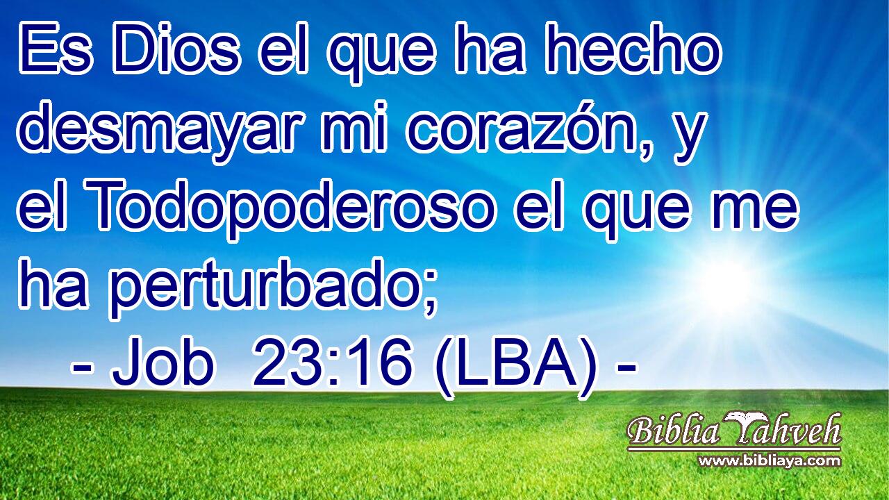 Es Dios el que ha hecho desmayar mi corazón, y el Todopoderoso el que me ha perturbado;