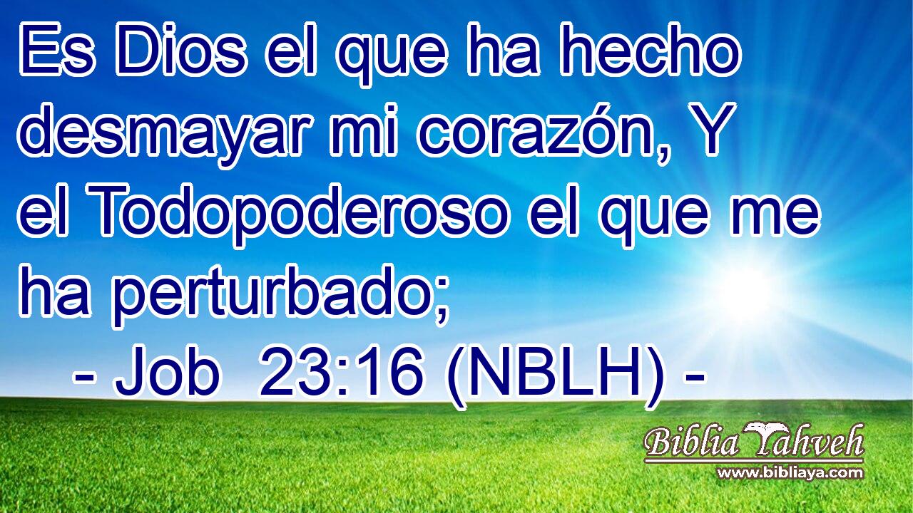  Es Dios el que ha hecho desmayar mi corazón, Y el Todopoderoso el que me ha perturbado; 