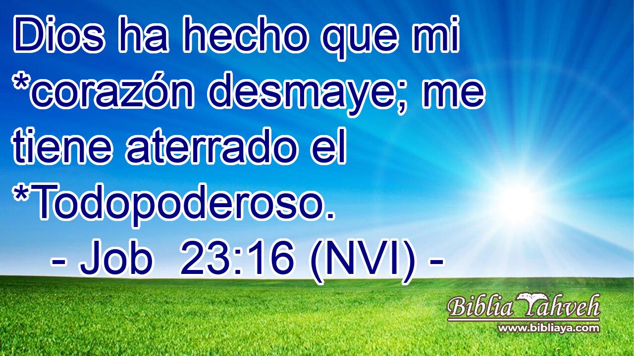  Dios ha hecho que mi *corazón desmaye; me tiene aterrado el *Todopoderoso. 