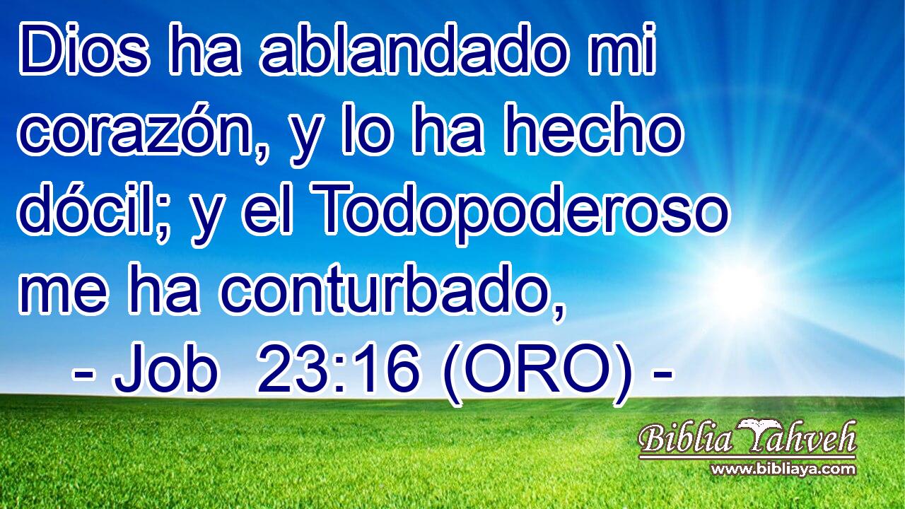  Dios ha ablandado mi corazón, y lo ha hecho dócil; y el Todopoderoso me ha conturbado, 