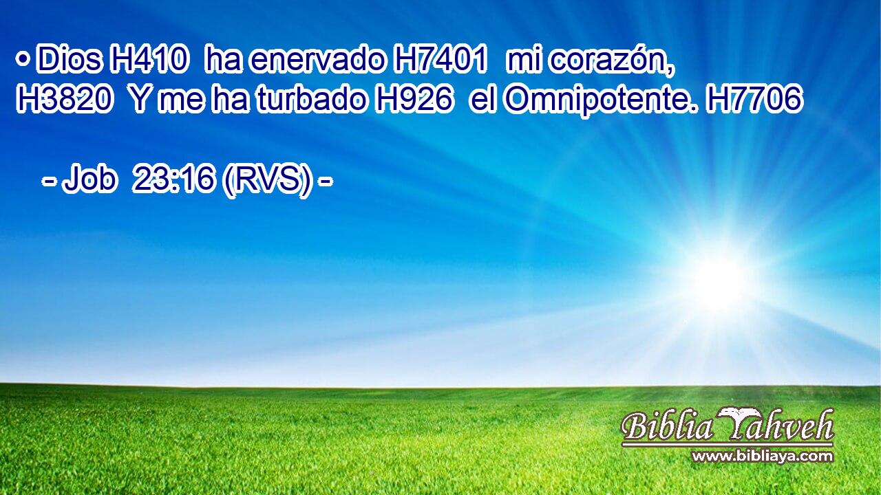 • Dios H410  ha enervado H7401  mi corazón, H3820  Y me ha turbado H926  el Omnipotente. H7706  