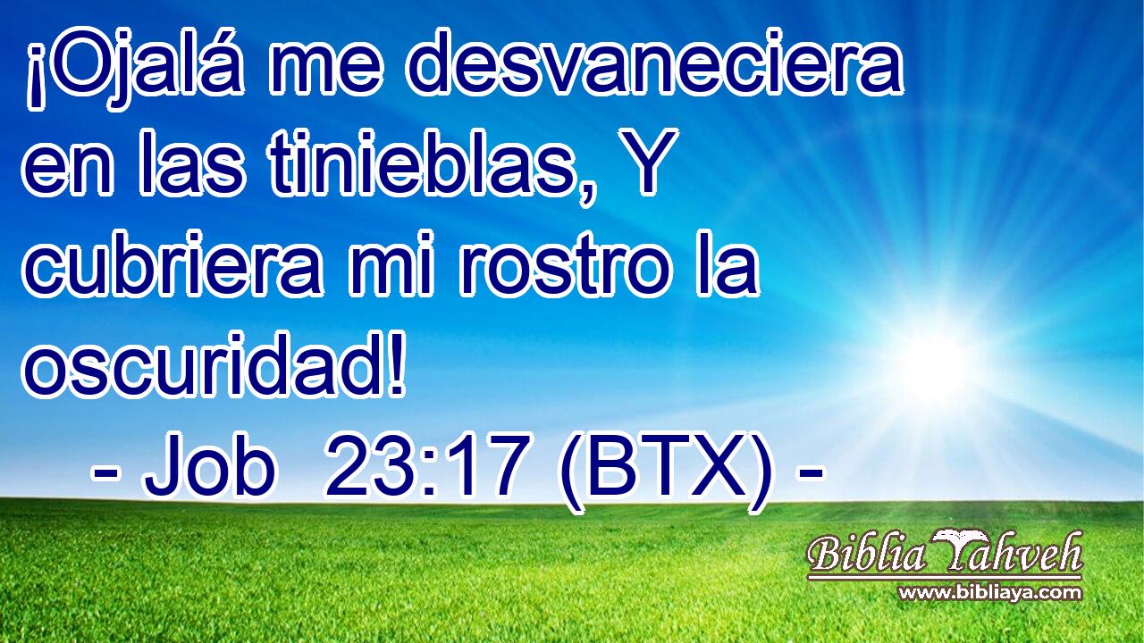 ¡Ojalá me desvaneciera en las tinieblas, Y cubriera mi rostro la oscuridad!