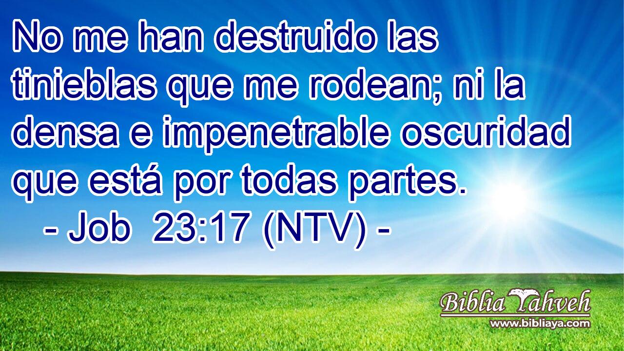 No me han destruido las tinieblas que me rodean; ni la densa e impenetrable oscuridad que está por todas partes.