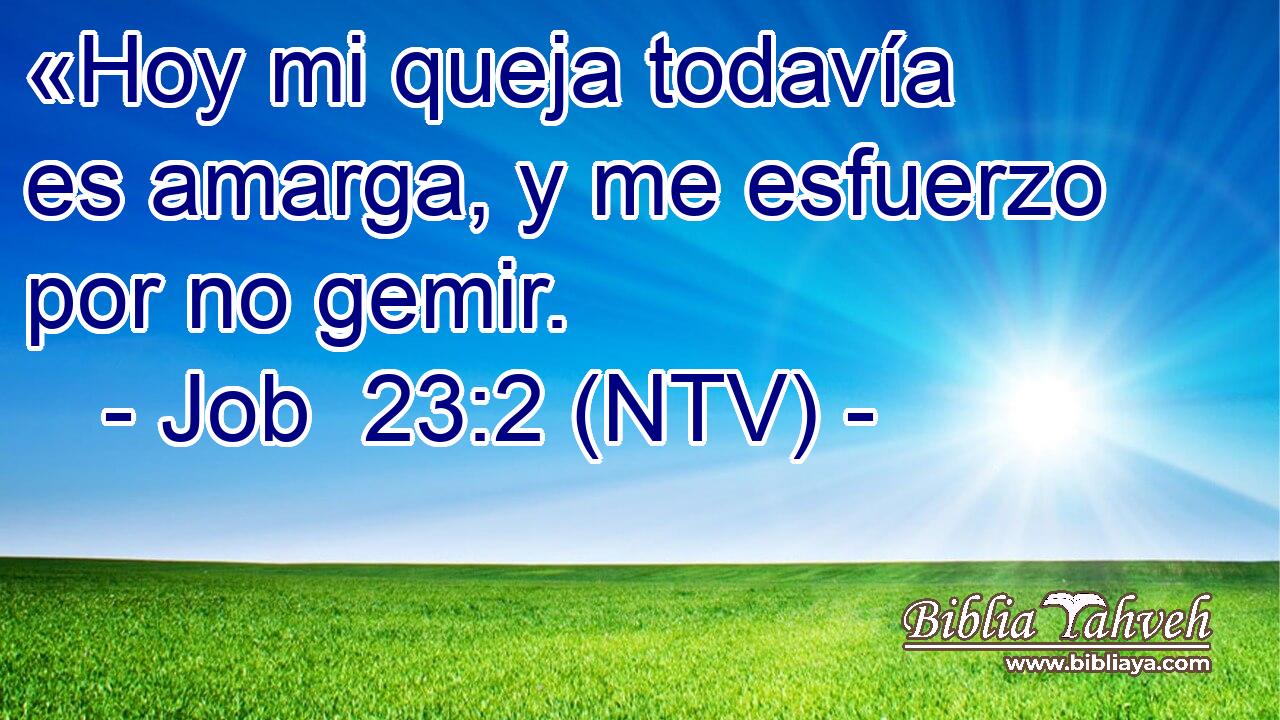 «Hoy mi queja todavía es amarga, y me esfuerzo por no gemir.