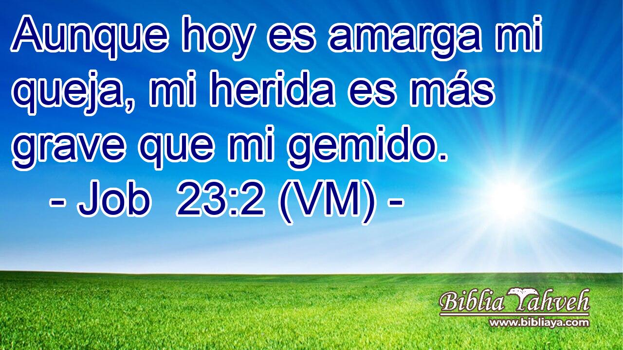  Aunque hoy es amarga mi queja, mi herida es más grave que mi gemido. 