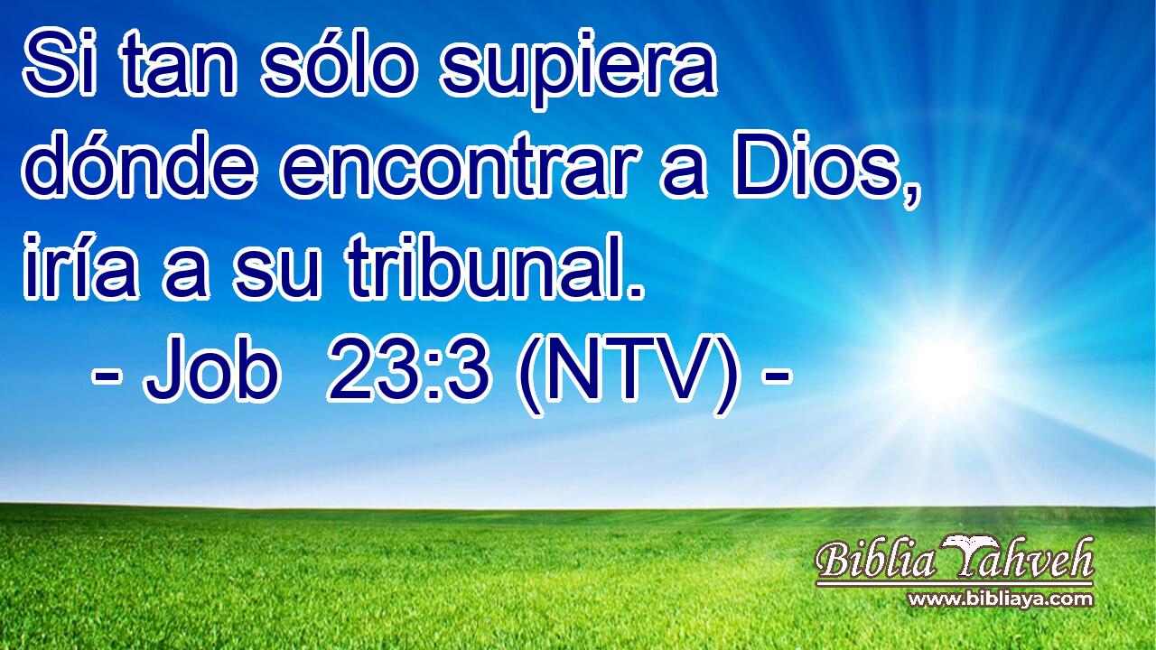 Si tan sólo supiera dónde encontrar a Dios, iría a su tribunal.
