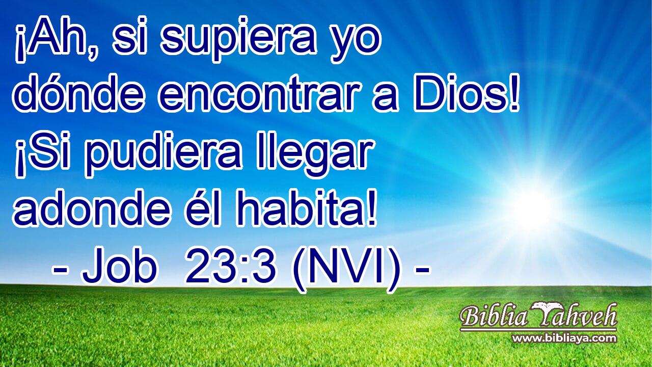  ¡Ah, si supiera yo dónde encontrar a Dios! ¡Si pudiera llegar adonde él habita! 