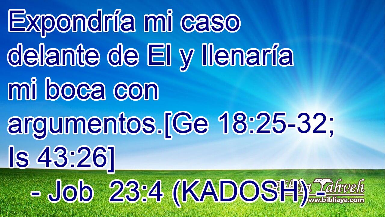  Expondría mi caso delante de El y llenaría mi boca con argumentos.[Ge 18:25-32; Is 43:26] 