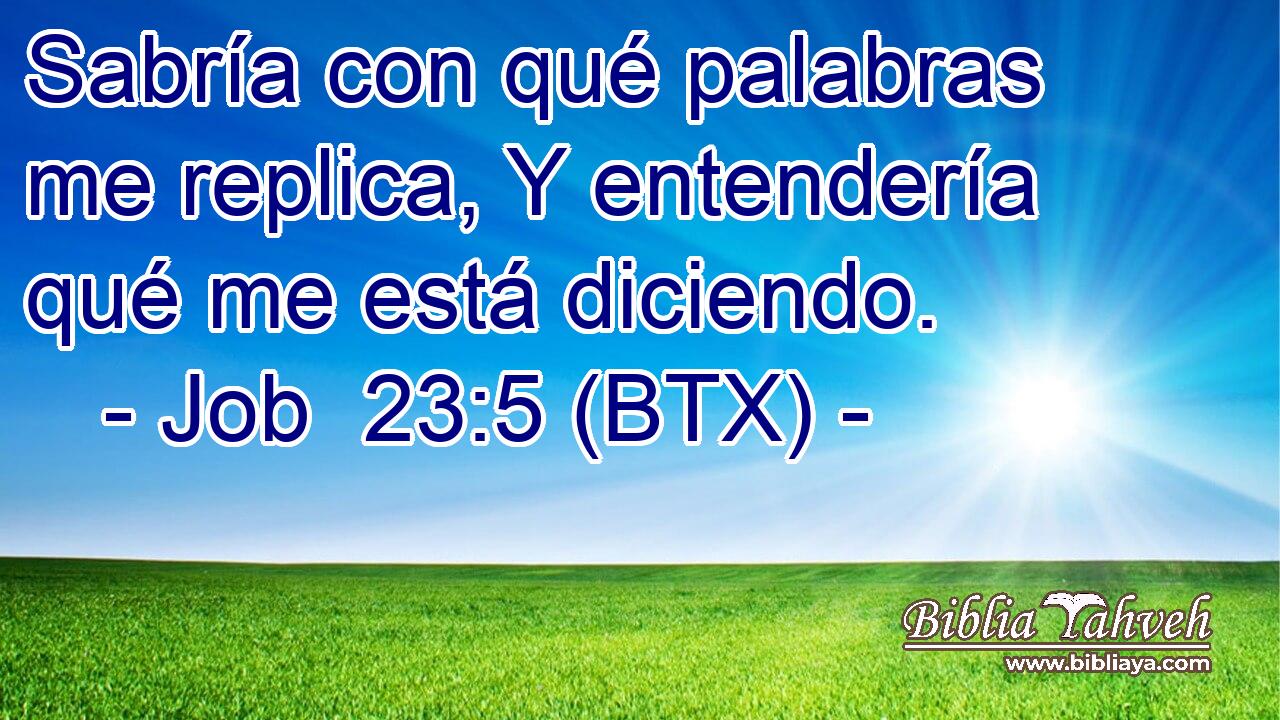 Sabría con qué palabras me replica, Y entendería qué me está diciendo.