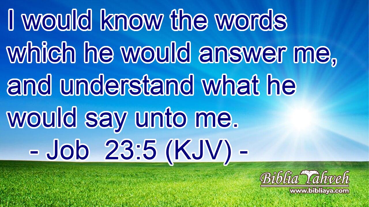 I would know the words which he would answer me, and understand what he would say unto me.