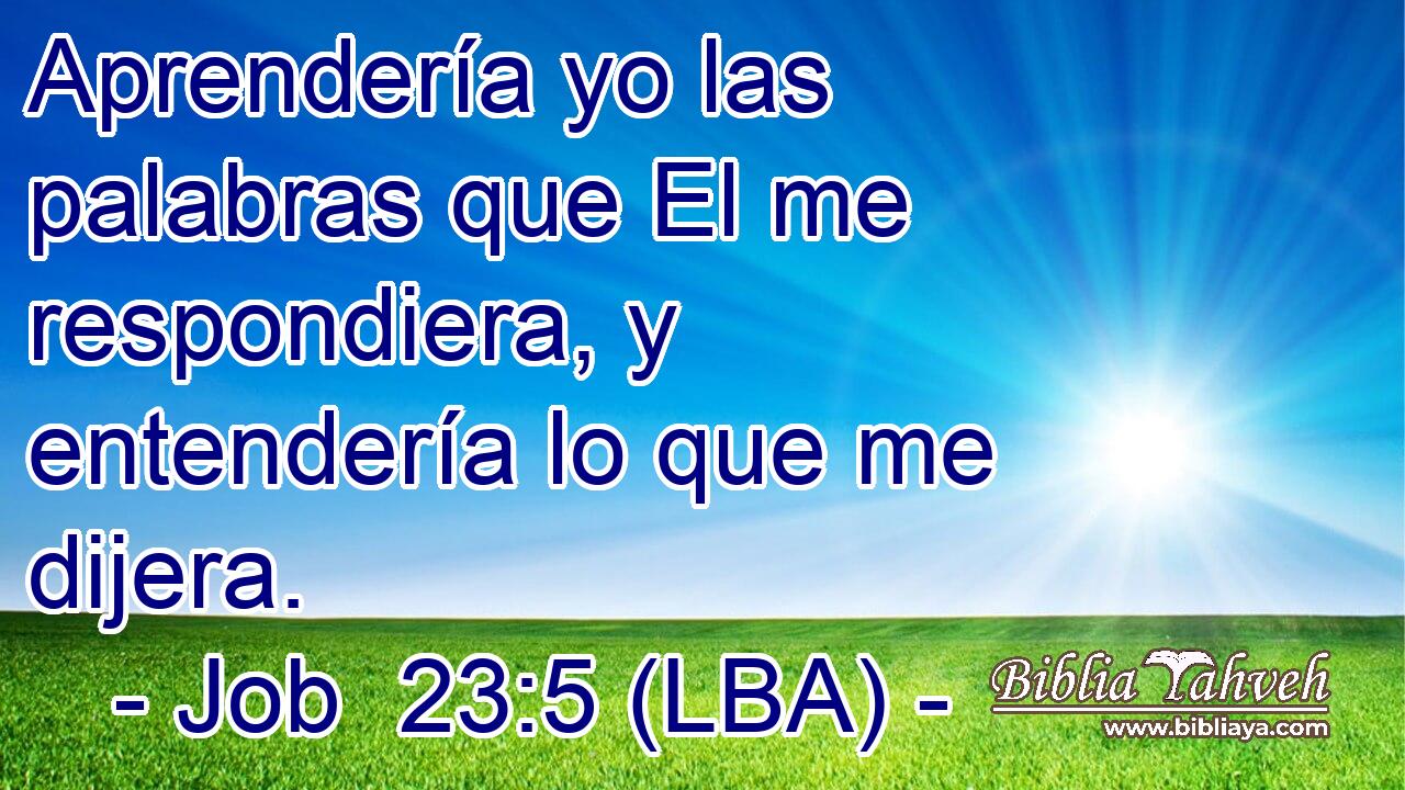 Aprendería yo las palabras que El me respondiera, y entendería lo que me dijera.