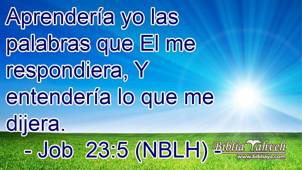  Aprendería yo las palabras que El me respondiera, Y entendería lo que me dijera. 