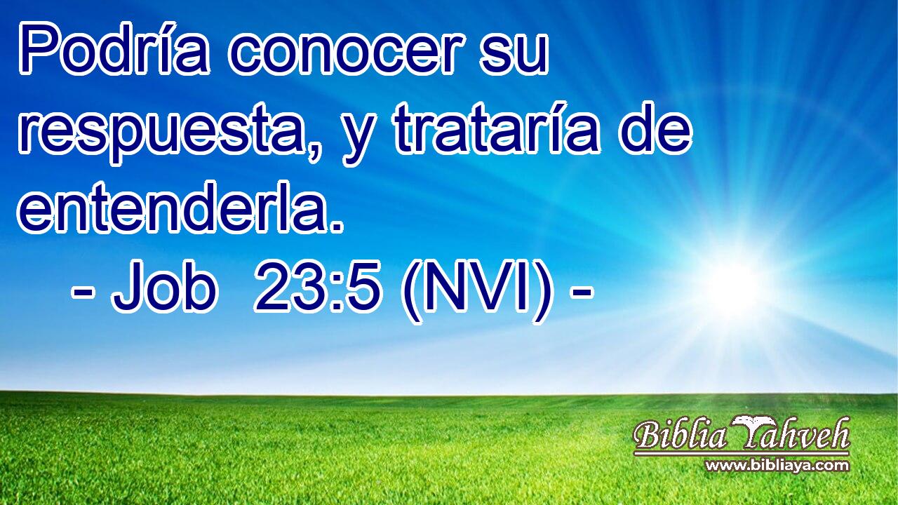 Podría conocer su respuesta, y trataría de entenderla. 