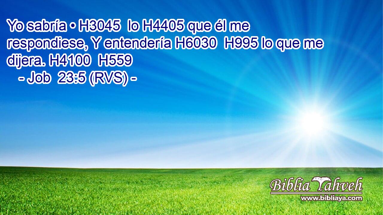 Yo sabría • H3045  lo H4405 que él me respondiese, Y entendería H6030  H995 lo que me dijera. H4100  H559 