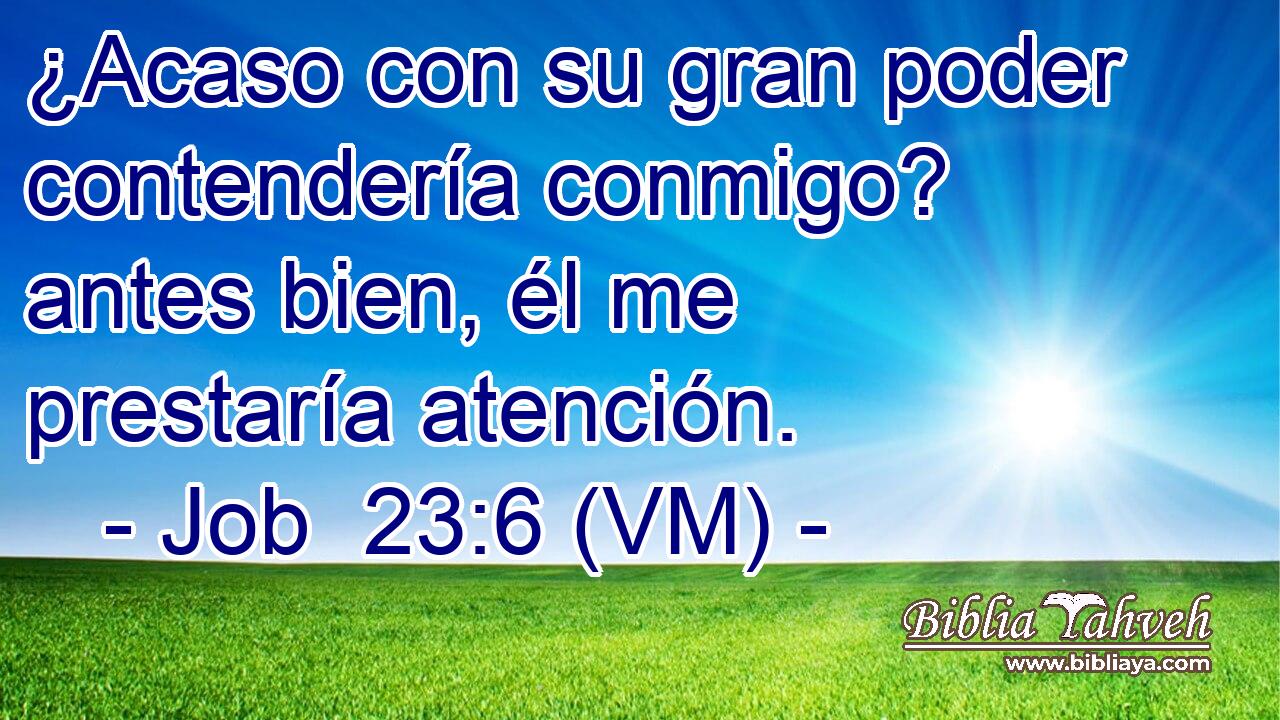  ¿Acaso con su gran poder contendería conmigo? antes bien, él me prestaría atención. 