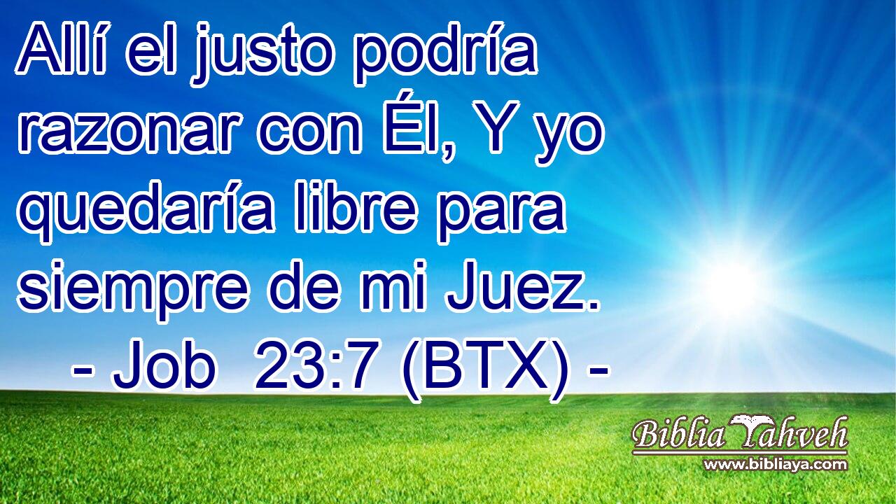 Allí el justo podría razonar con Él, Y yo quedaría libre para siempre de mi Juez.