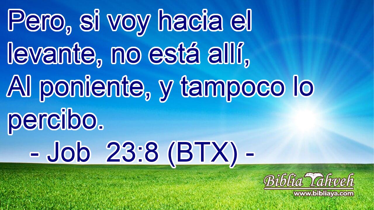 Pero, si voy hacia el levante, no está allí, Al poniente, y tampoco lo percibo.
