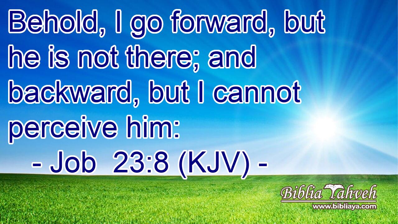 Behold, I go forward, but he is not there; and backward, but I cannot perceive him: