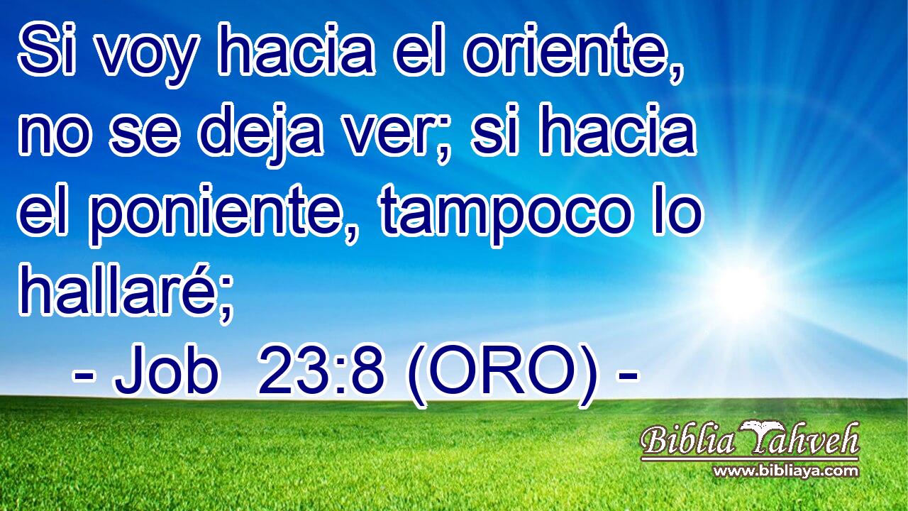  Si voy hacia el oriente, no se deja ver; si hacia el poniente, tampoco lo hallaré; 