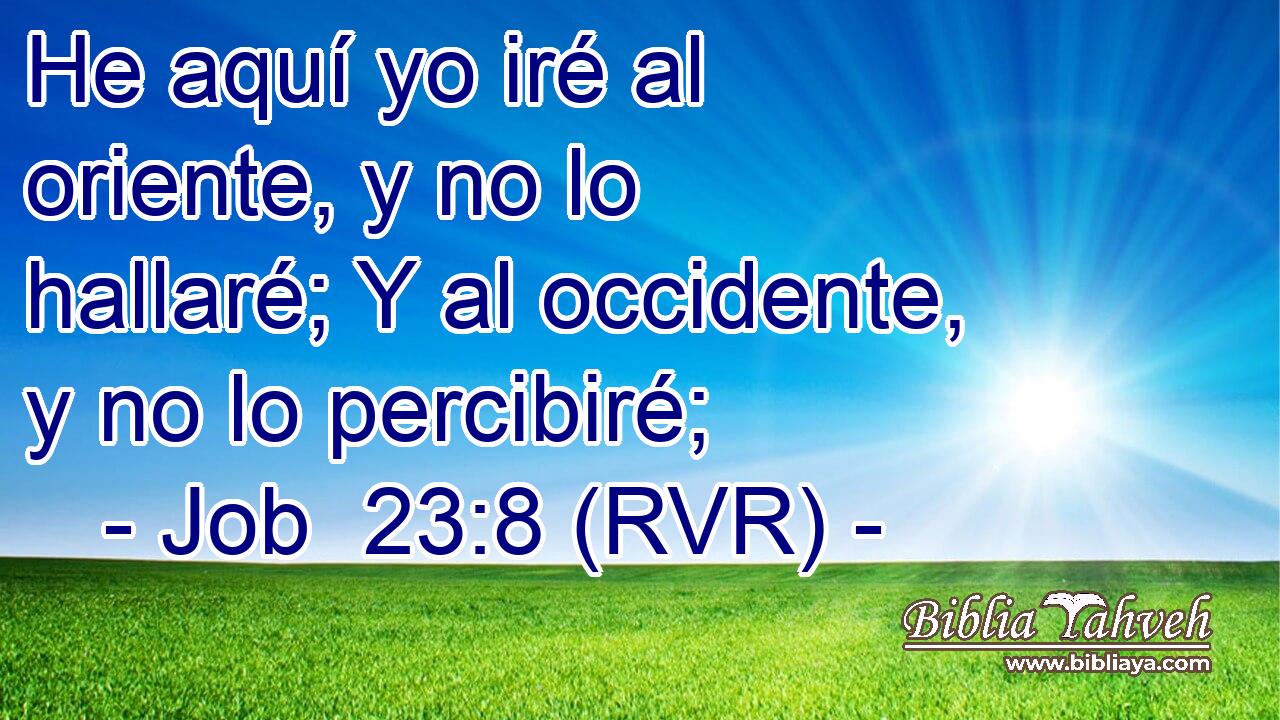 He aquí yo iré al oriente, y no lo hallaré; Y al occidente, y no lo percibiré;