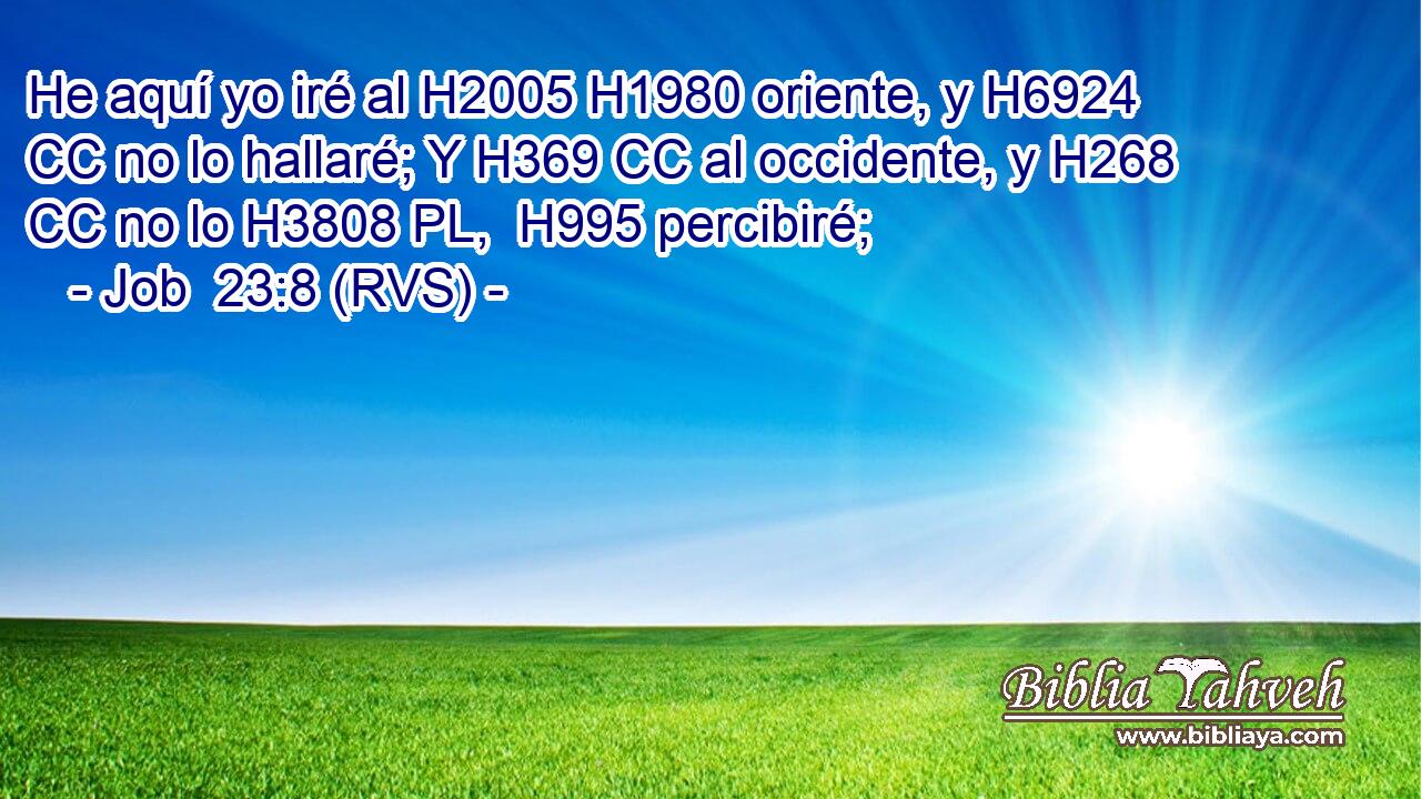 He aquí yo iré al H2005 H1980 oriente, y H6924 CC no lo hallaré; Y H369 CC al occidente, y H268 CC no lo H3808 PL,  H995 percibiré; 