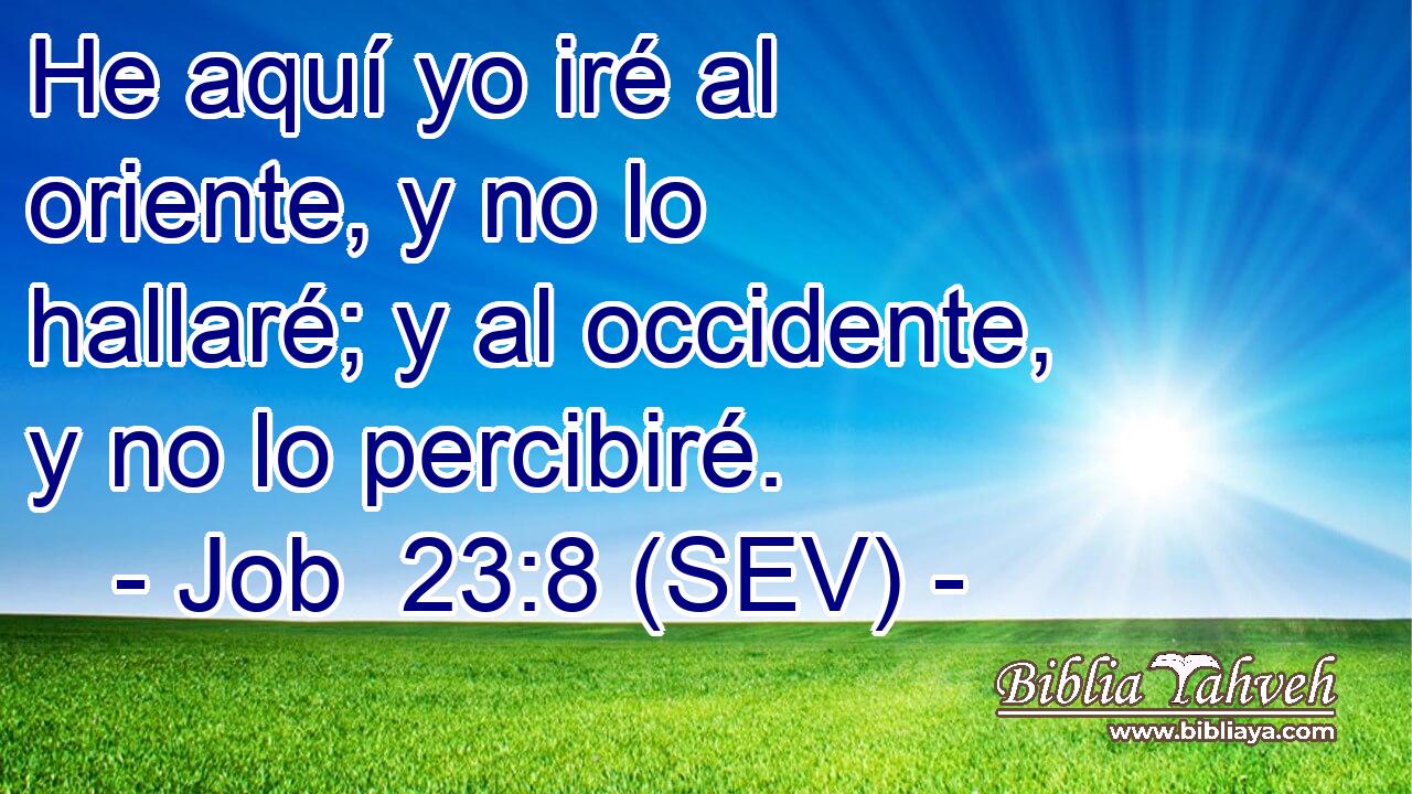 He aquí yo iré al oriente, y no lo hallaré; y al occidente, y no lo percibiré.