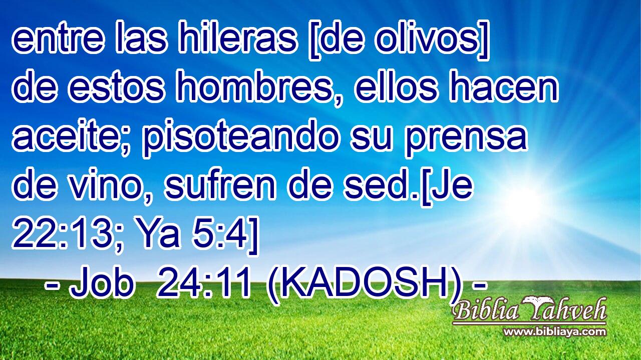  entre las hileras [de olivos] de estos hombres, ellos hacen aceite; pisoteando su prensa de vino, sufren de sed.[Je 22:13; Ya 5:4] 