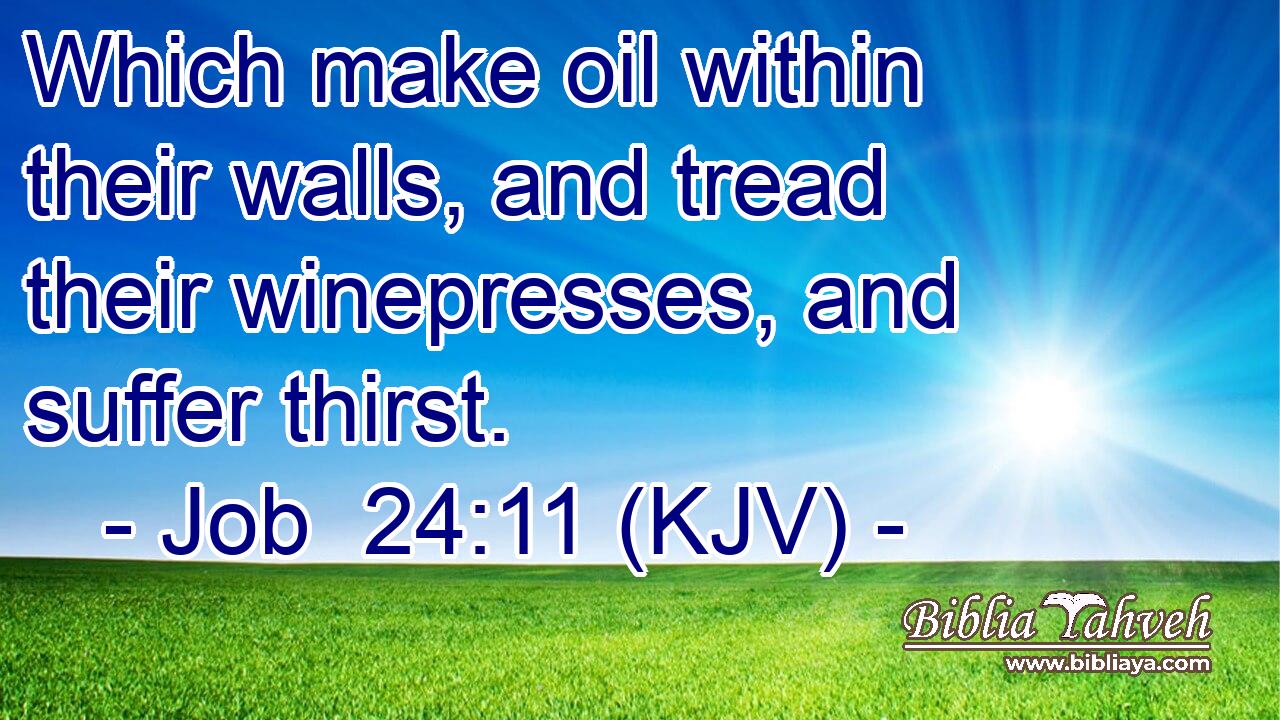 Which make oil within their walls, and tread their winepresses, and suffer thirst.